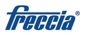 Логотип FRECCIA