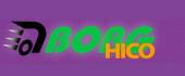 Логотип BORG HICO