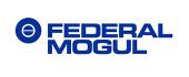 Логотип FEDERAL MOGUL