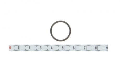 Установочное кольцо регулятора давления BOSCH F 00V C38 045 (фото 1)