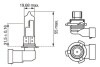 Лампа розжарювання HB4 12V 51W P22d ECO BOSCH 1987302808 (фото 1)