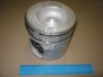 Поршень R.V.I. 123.0 MIDR 06.23.56 NURAL 87-135500-00 (фото 1)