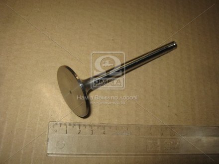 Клапан впускний IN FIAT/LANCIA/ALFA (KS) KOLBENSCHMIDT 171120