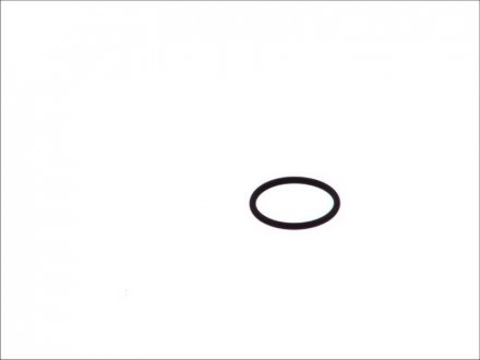 Кільце з про-перерізом (вир-во) BOSCH F 00V D38 010 (фото 1)