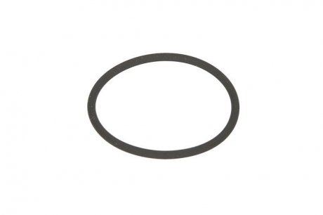 Опорное кольцо форсунки CR BOSCH F 00R J00 220 (фото 1)