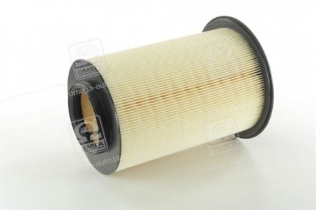 Фильтр воздушный (MANN) MANN-FILTER C16134/1