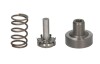 Плунжерная пара BOSCH F 01M 101 349 (фото 1)