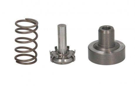 Плунжерная пара BOSCH F 01M 101 349 (фото 1)