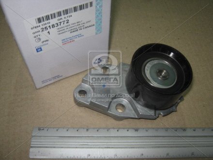Ролик ременя GM 25183772