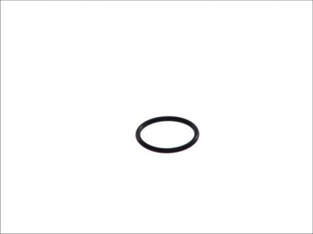 Уплотнительное кольцо DT 6.33082 (фото 1)