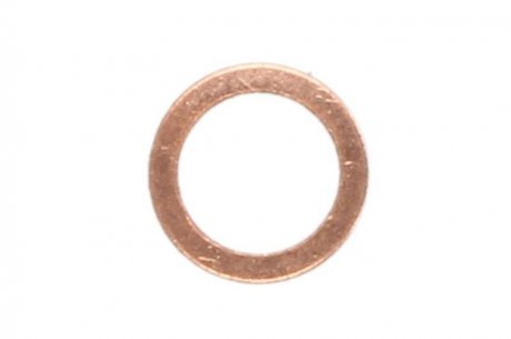 Уплотнительное кольцо, резьбовая пробка маслосливн. отверст. DT 9.01028