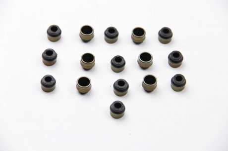 Комплект сальників клапанів VICTOR REINZ 12-31306-12 (фото 1)