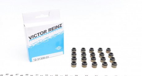 Комплект сальників клапанів VICTOR REINZ 12-31306-03 (фото 1)