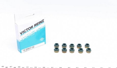Комплект сальників клапанів VICTOR REINZ 12-25837-02 (фото 1)