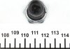 Датчик тиску мастила FAE 12570 (фото 2)