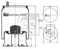 Пневмоподушка FEBI BILSTEIN 45487 (фото 1)