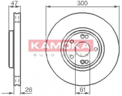 Гальмiвнi диски KAMOKA 1032410 (фото 1)