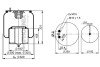 Ресора пневматична PHOENIX 1DF22C-1 (фото 2)