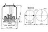 Ресора пневматична PHOENIX 1DK20C-2 (фото 2)