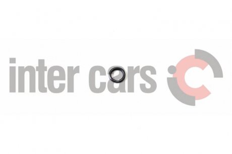 Елемент помпи високого тиску BOSCH 2 440 210 010