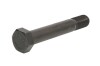 Болт підвіски ресори M30X190 0334015200 FEBI BILSTEIN FE05323 (фото 1)