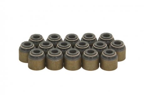 Комплект сальників клапанів VICTOR REINZ 12-10031-01 (фото 1)