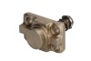 Плунжерная пара ТНВД Renault (Mascott, Maxity), Nissan (Cabstar, Patrol) 3.0 dCI BOSCH F 01M 100 947 (фото 2)