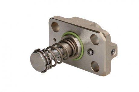 Плунжерная пара ТНВД Renault (Mascott, Maxity), Nissan (Cabstar, Patrol) 3.0 dCI BOSCH F 01M 100 947 (фото 1)