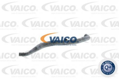 Шланг, вентиляция картера VAICO V30-0959