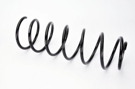 Фото пружина підвіски MAGNUM TECHNOLOGY SW008MT Пружина підвіски MAGNUM TECHNOLOGY SW008MT