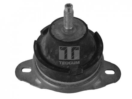 Подушка двигуна TEDGUM 00514176 (фото 1)