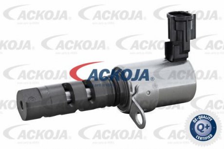 Регулирующий клапан, выставление распределительного вала Ackoja A63-0022