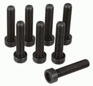 Болт SACHS 1874 000 063 (фото 1)