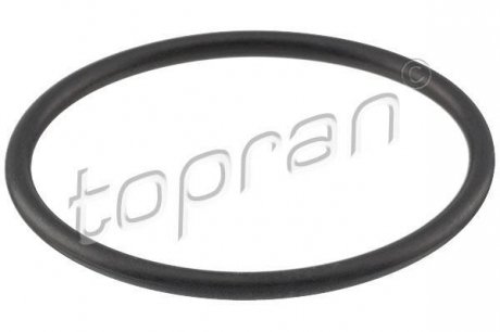 Прокладка термостату HP113 303 TOPRAN / HANS PRIES 113 303 (фото 1)