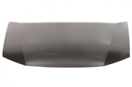 Капот BLIC 6803-00-2999280P