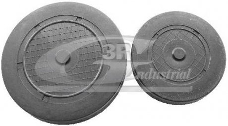 Фото 1 - заглушка Кулачковий валу 3RG 80663 Заглушка Кулачковий валу 3RG 80663 (фото 1)