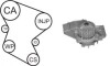 CITROEN К-кт ГРМ (помпа с прокладкой + 2 ролика + ремень) JUMPY 1.9 D 70 98-03, XSARA 1.9 D 98-05, FIAT SCUDO 1.9 D 98-06, TOYOTA COROLLA 1.9 D 00-01 AIRTEX WPK-1580R04 (фото 1)