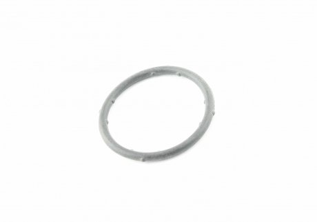 Уплотнительное кольцо термостата VAG 037 121 687 (фото 1)
