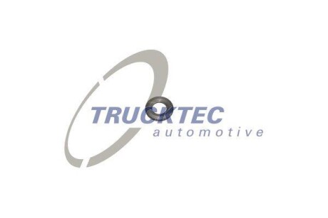 Шайба термозахисту системи вприску TRUCKTEC AUTOMOTIVE 02.10.070