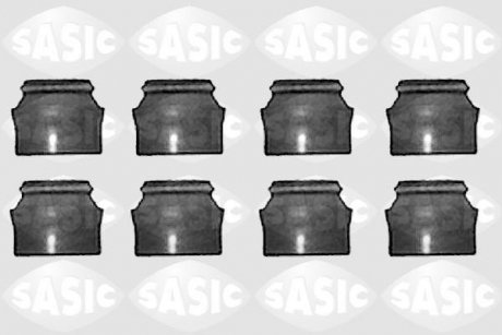 Набір прокладок, стержень клапана SASIC 9560380S (фото 1)