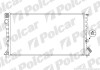 Радіатор охолодження Polcar 235008-6 (фото 1)