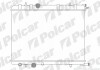 Радіатор охолодження Polcar 232808-3 (фото 1)