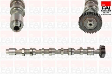 Розподільчий вал EX Audi A5 2.0 Tdi 08-/Skoda Fabia 1.6 Tdi 10-14/VW Golf Vi 2.0 Tdi 10-13 FAI C348