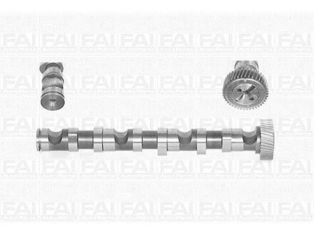 Розподільчий вал Audi A4, A6 99-03 Skoda Super B /WV Passat 97-05 FAI C246