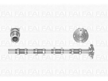 FORD Распредвал TRANSIT 2.4 DI 00-06, TRANSIT 2.4 TDE 01-06 FAI C251