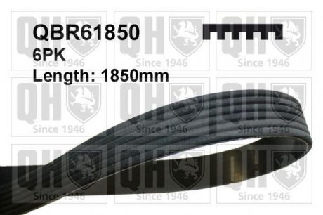 Ремiнь клиновий 6PK#1850 Quinton Hazell QBR61850