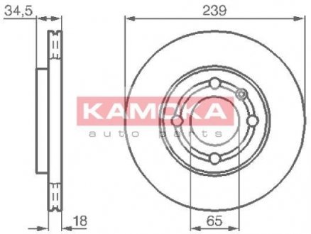 Гальмiвнi диски KAMOKA 1031624 (фото 1)