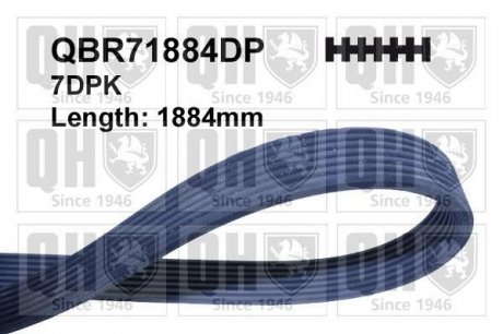 Ремiнь клиновий Quinton Hazell QBR71884DP