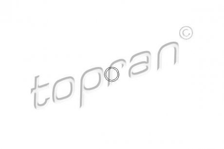 Прокладка болтов клапанной крышки TOPRAN / HANS PRIES 206528