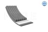 Keilrippenriemen / V-ribbed belt MEYLE 0500061893 (фото 1)